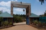 hummingbird Entrance